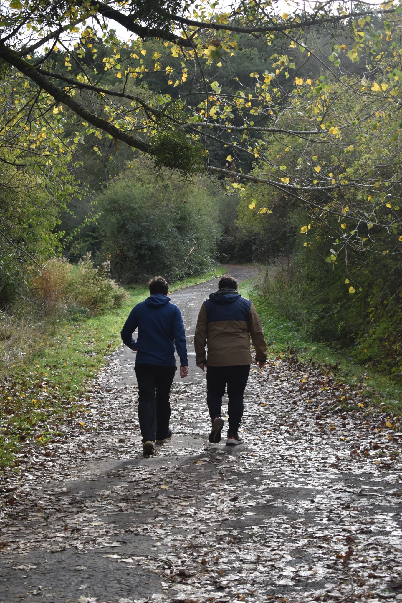 Trail de Fanson 2026 — Photo 115
