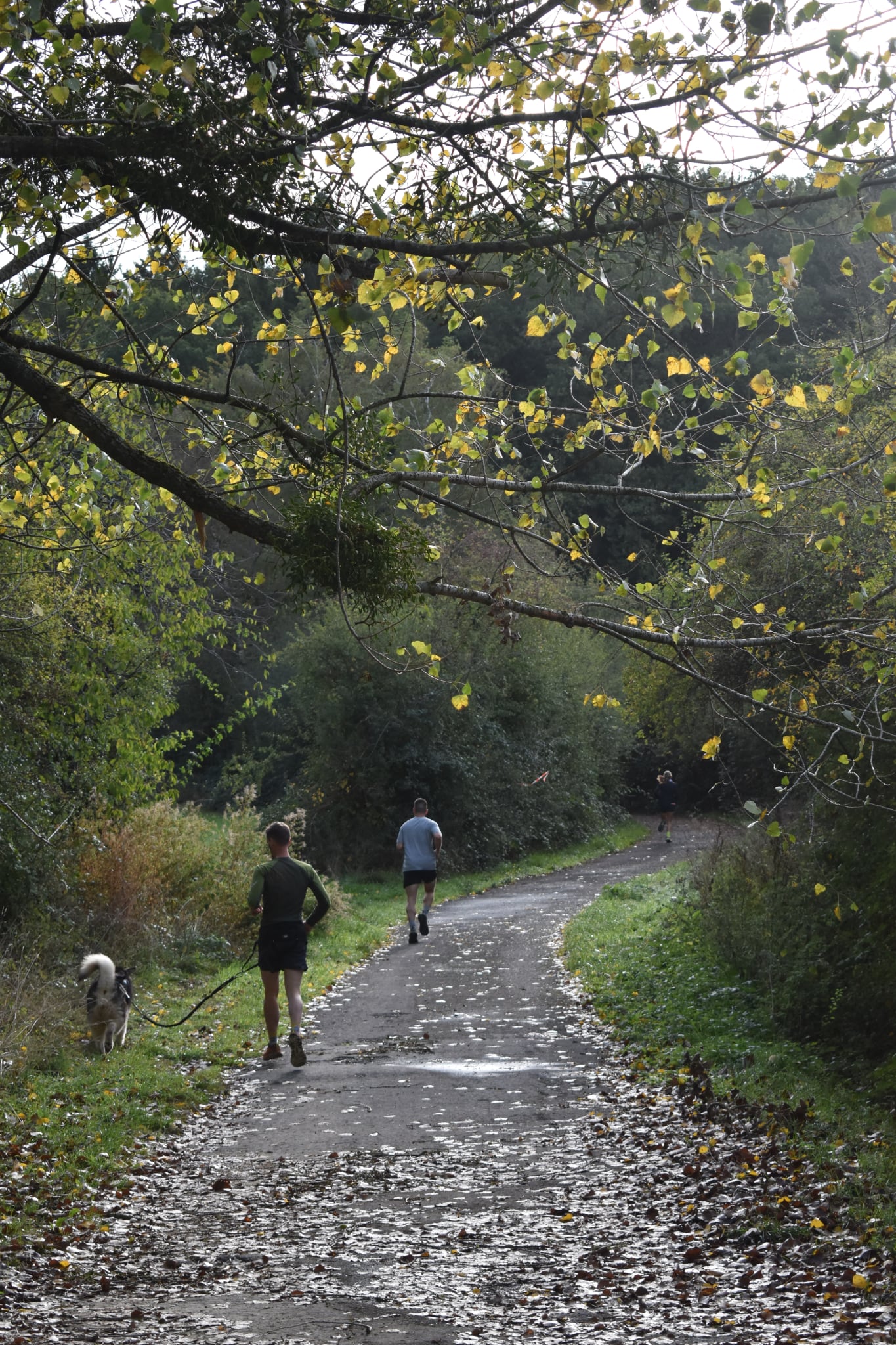 Trail de Fanson 2026 — Photo 8