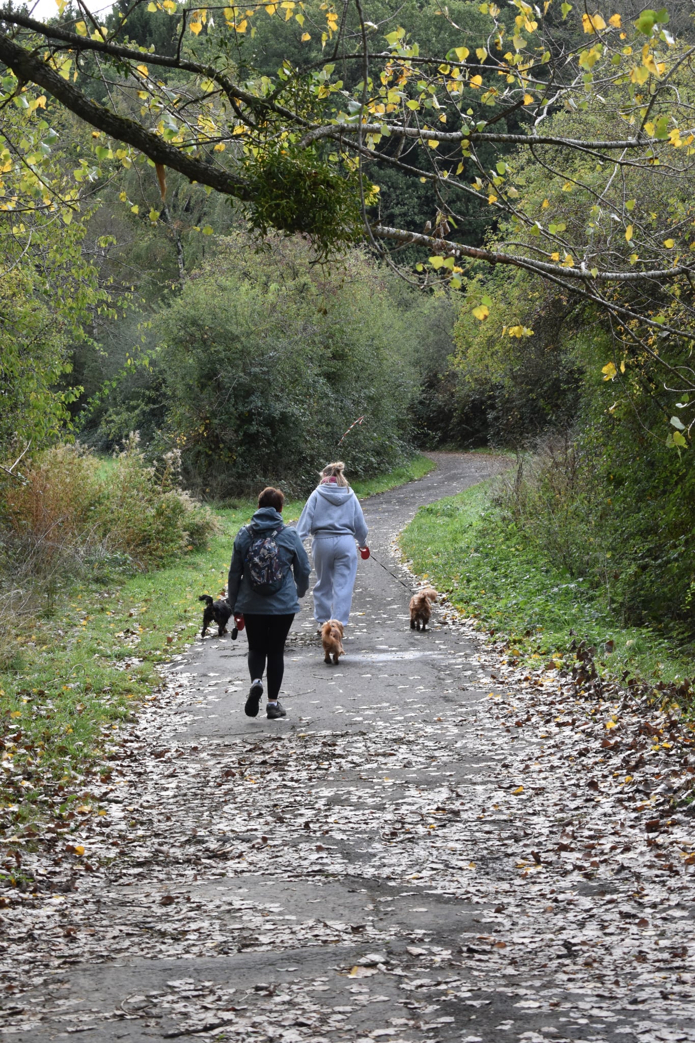 Trail de Fanson 2026 — Photo 18