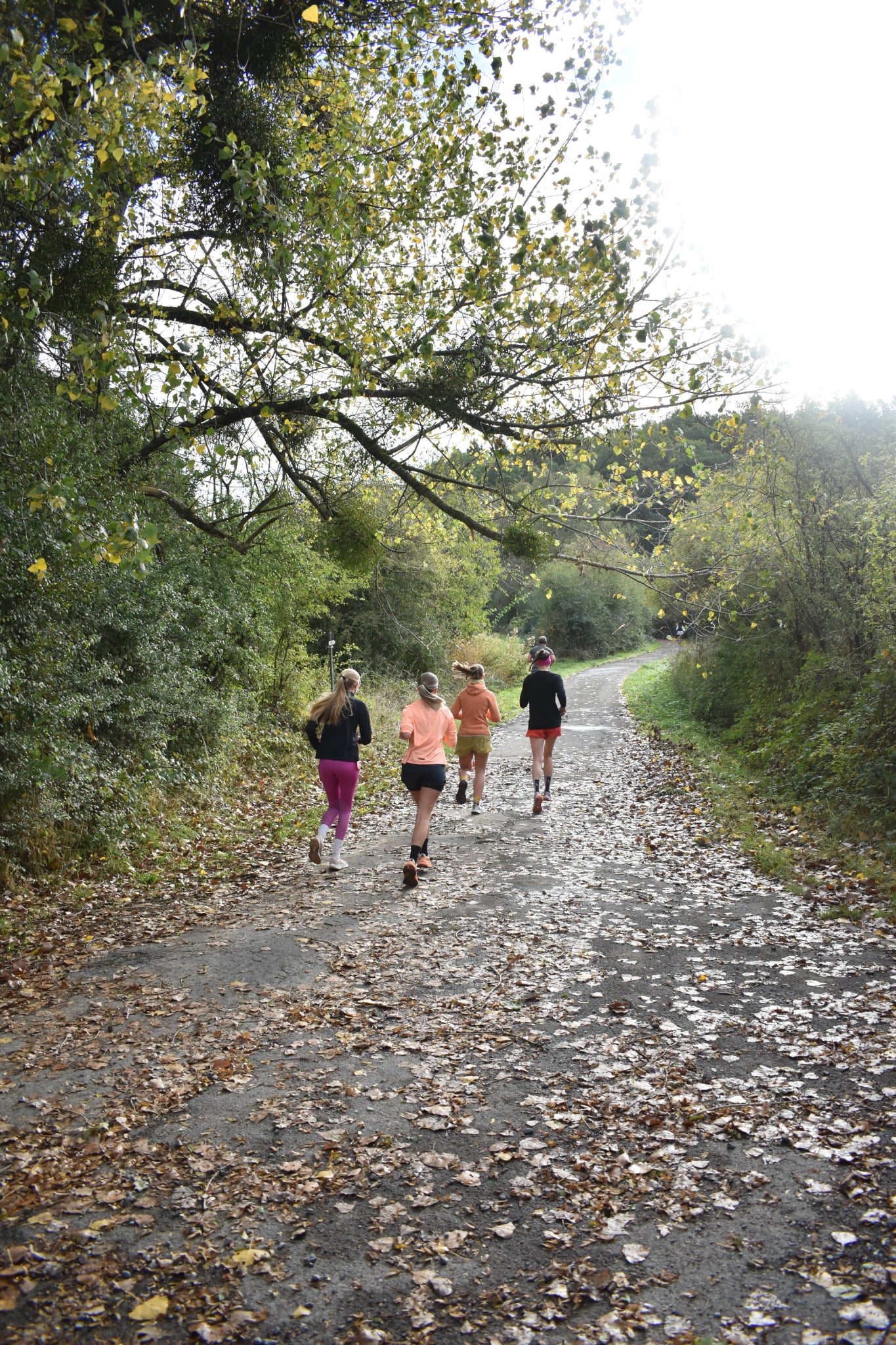 Trail de Fanson 2026 — Photo 53