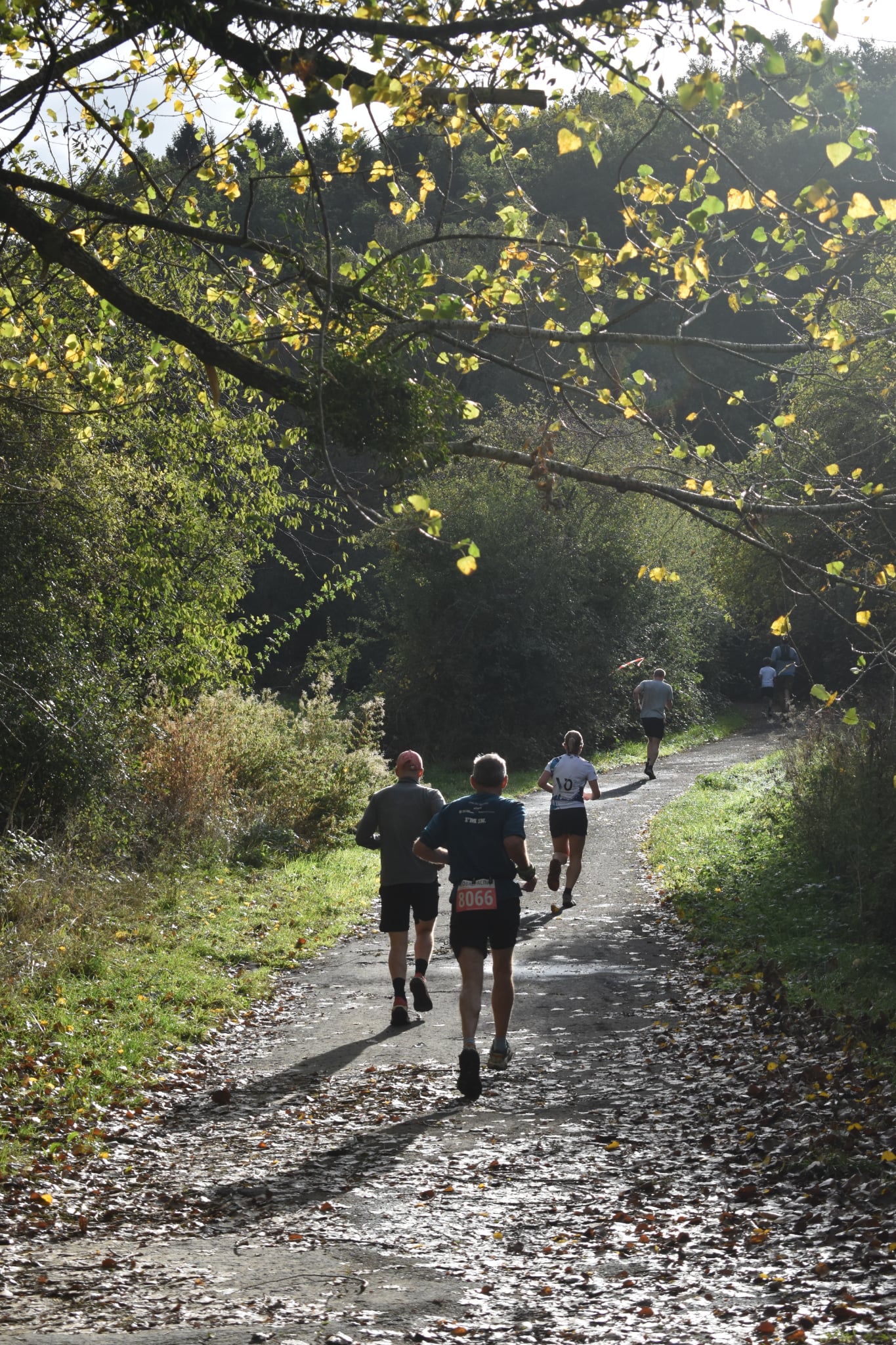 Trail de Fanson 2026 — Photo 56