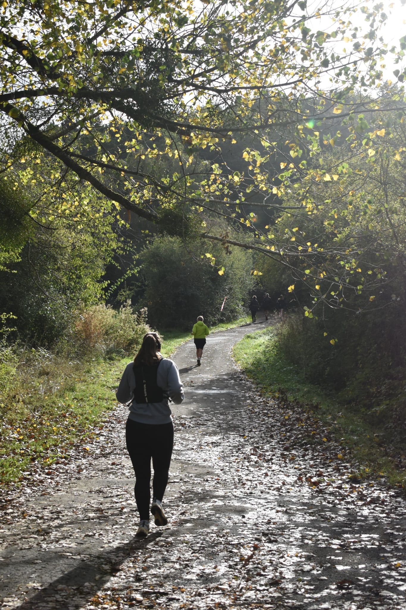 Trail de Fanson 2026 — Photo 65