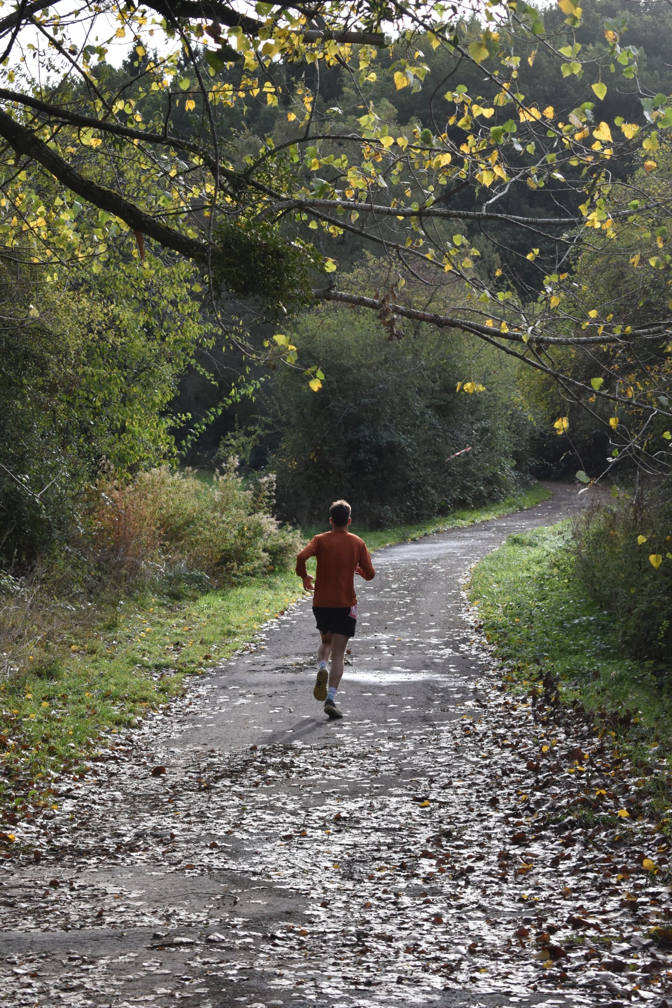 Trail de Fanson 2026 — Photo 77