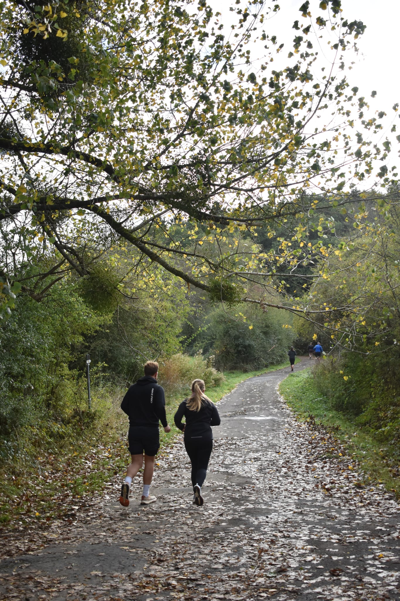 Trail de Fanson 2026 — Photo 78