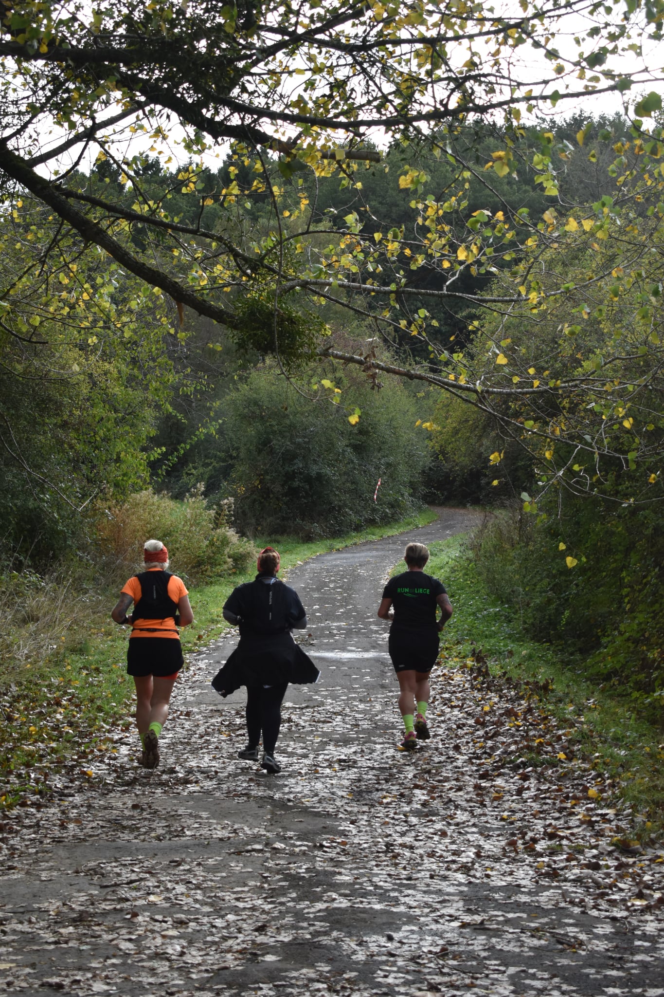 Trail de Fanson 2026 — Photo 39