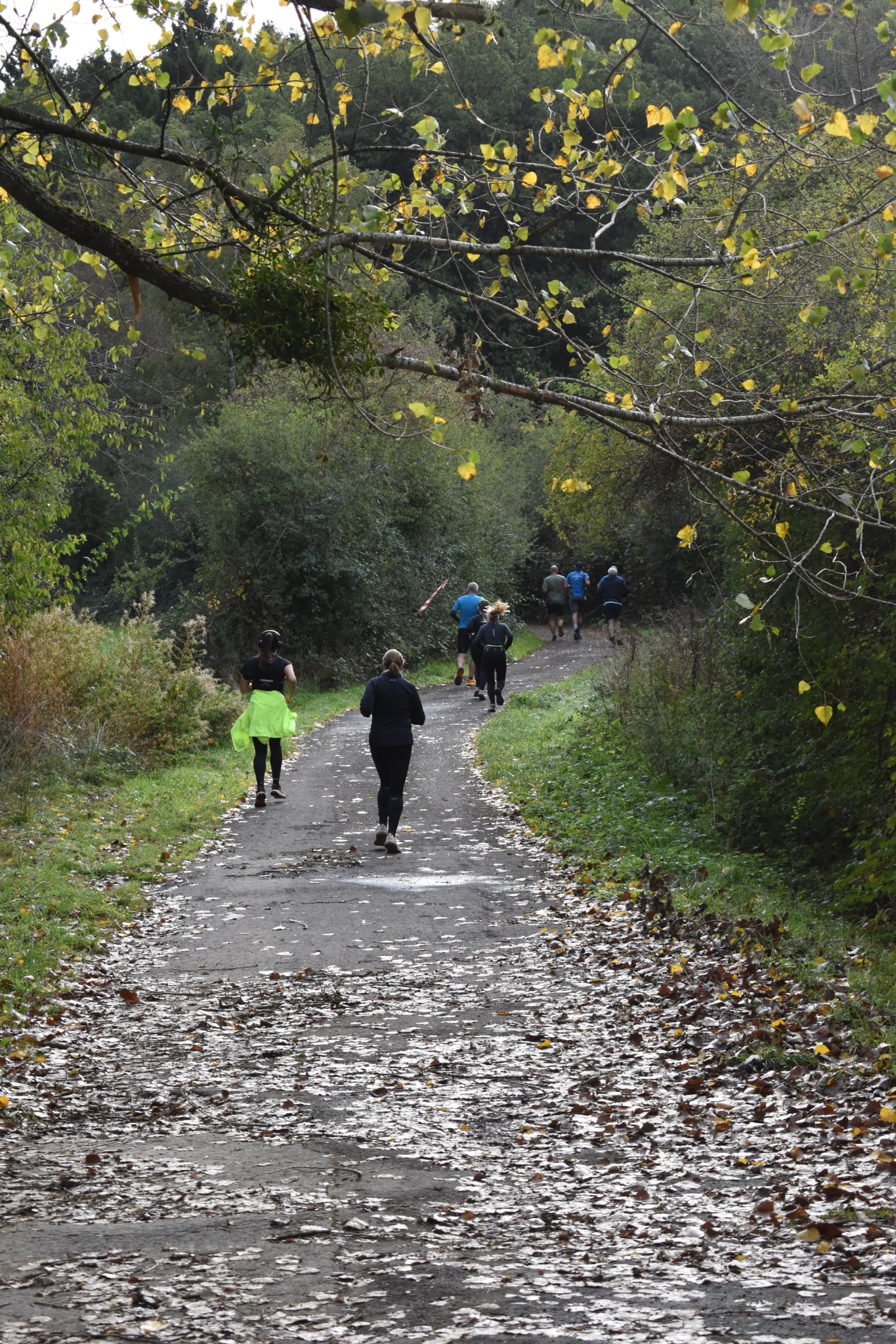 Trail de Fanson 2026 — Photo 80
