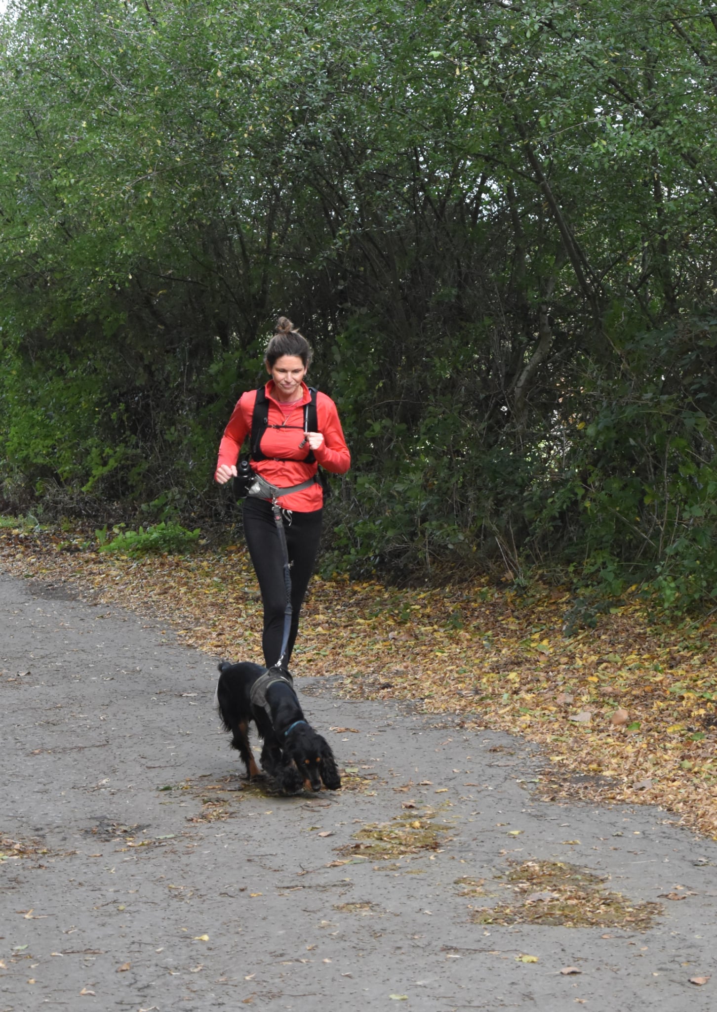 Trail de Fanson 2026 — Photo 112